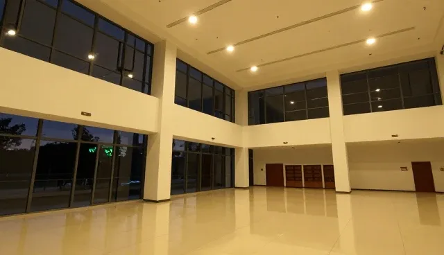 提升内容处理效率的方案设计与应用条件分析